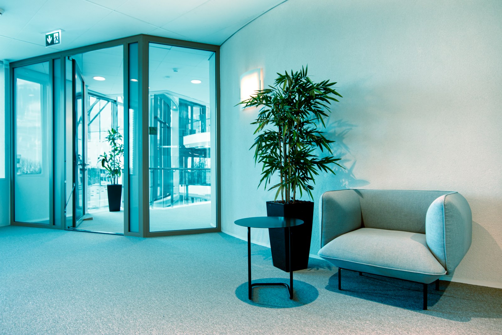 Office reception with soft teal light