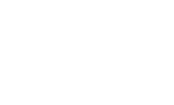 Milvian Group